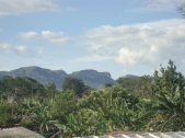 affittasi camere candelaria vinales  	      
