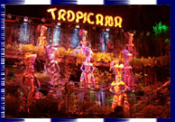 Cabaret Tropicana Cabaret Tropicana