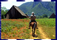 Giro a cavallo, Valle di Vinales