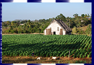 Giro a cavallo, Valle di Vinales